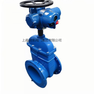 電動閘閥Z945X-10 DN50暗桿軟密封