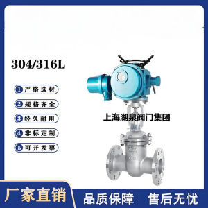 Z941W-16P，DN250，CF8/F304不銹鋼電動閘閥